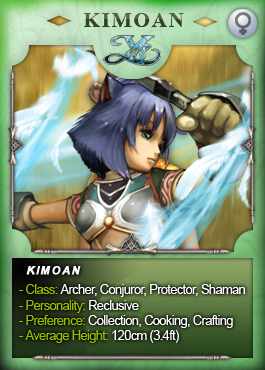 Illustration for article titled Ys Online Plays The Race Cards
